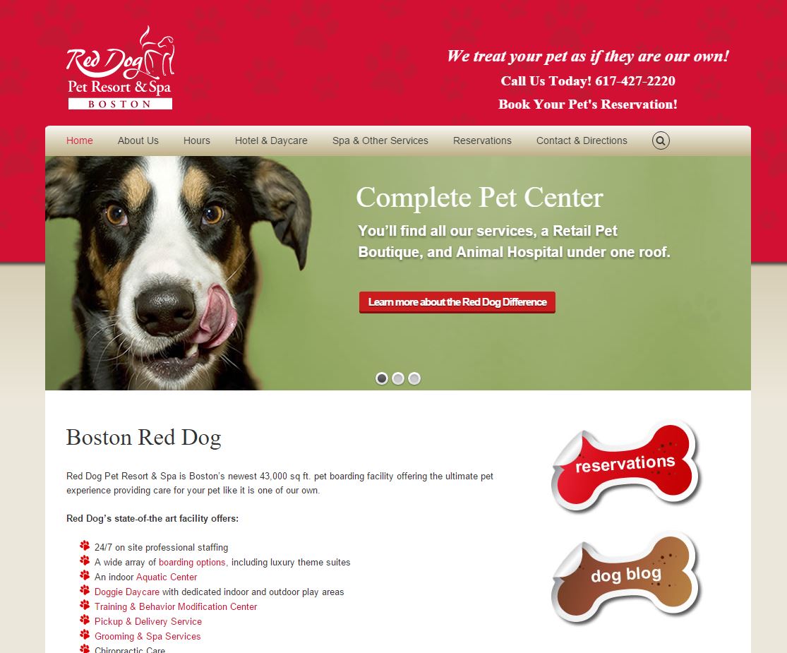 12-boston-red-dog