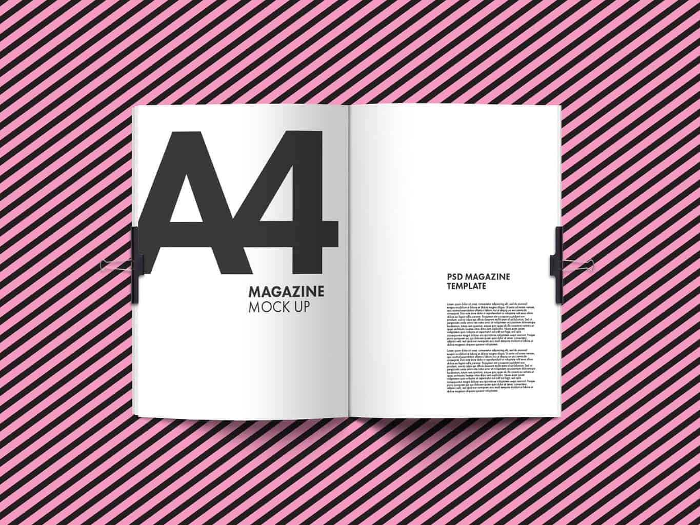 A4 Magazine Mock Up