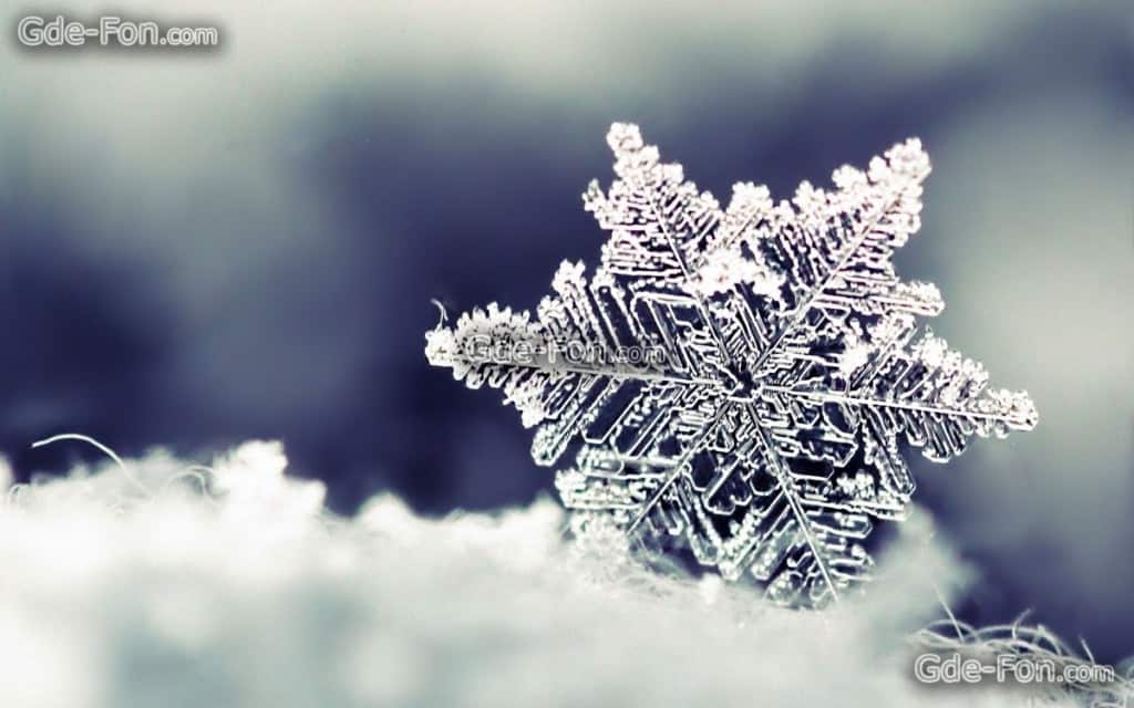 close up snow flake