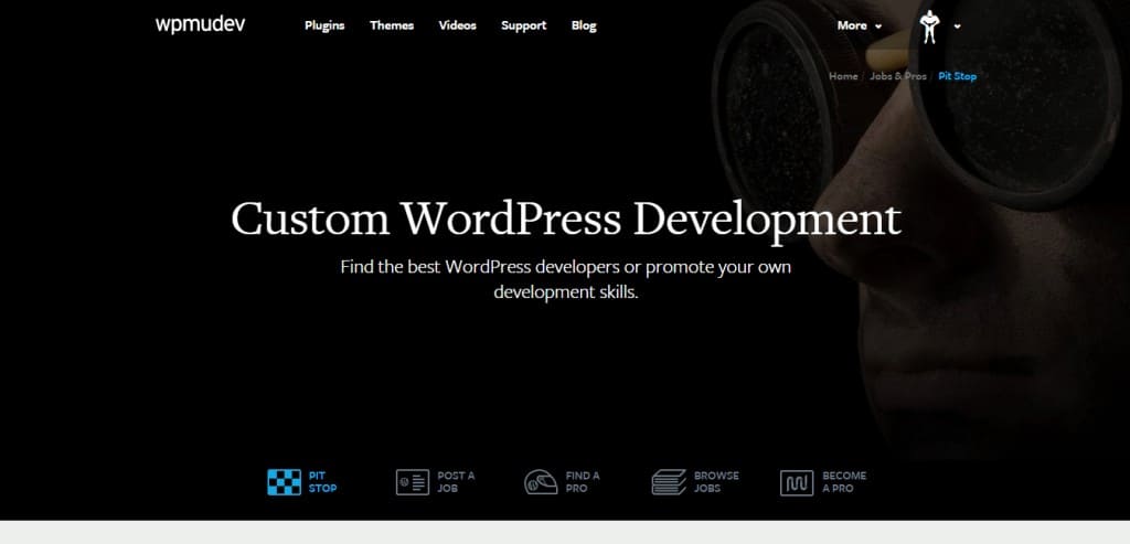 Custom WordPress Development