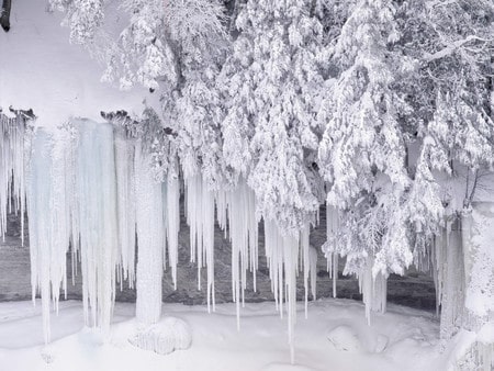 Frosty Winter Icicles