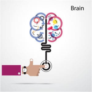 Brain opening concept.Creative brain abstract vector logo design