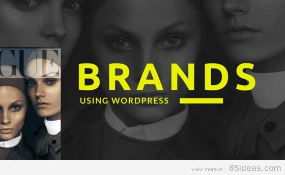 Big Brands Powered WordPress Websites