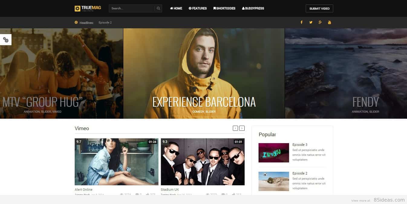 Best WordPress Video Themes