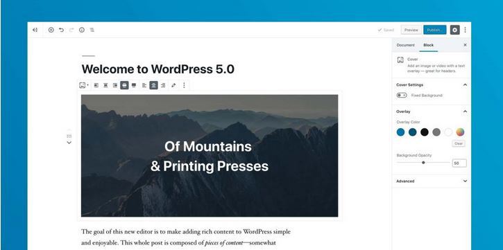 WordPress 5.0 Update