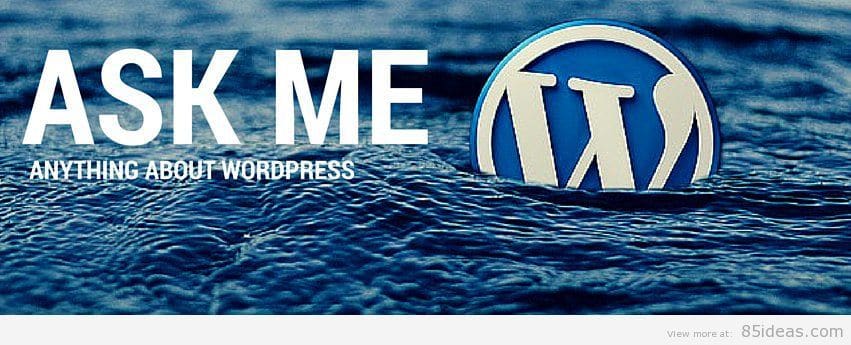 WordPress Support