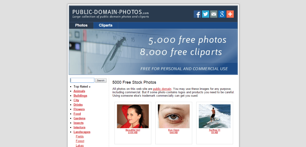 5000 Free Stock Photos