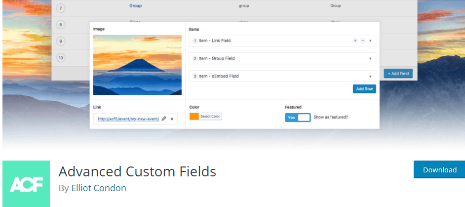 Advanced Custom Fields