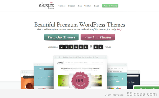 elegant themes